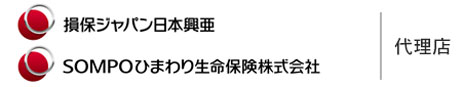 損保ジャパン日本興亜